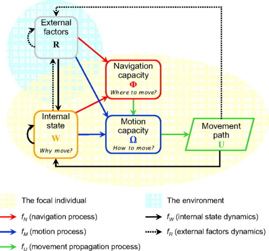 Figure 2 from Nathan et al. (2008). Conceptual diagram of questions involved in movement modeling.