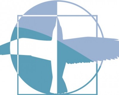NAOC 2012 logo