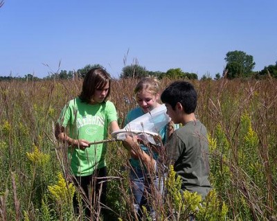 students study butterflies in the field