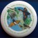 International Migratory Bird Day frisbee