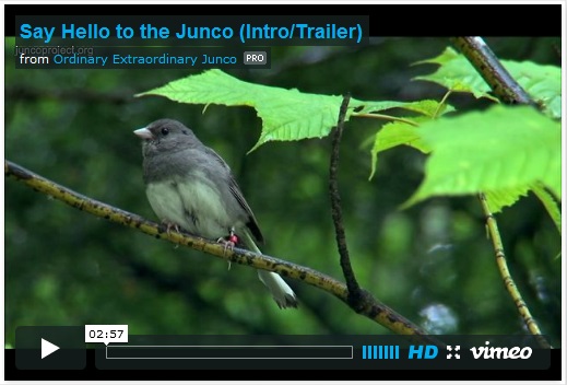 Juncoproject.org