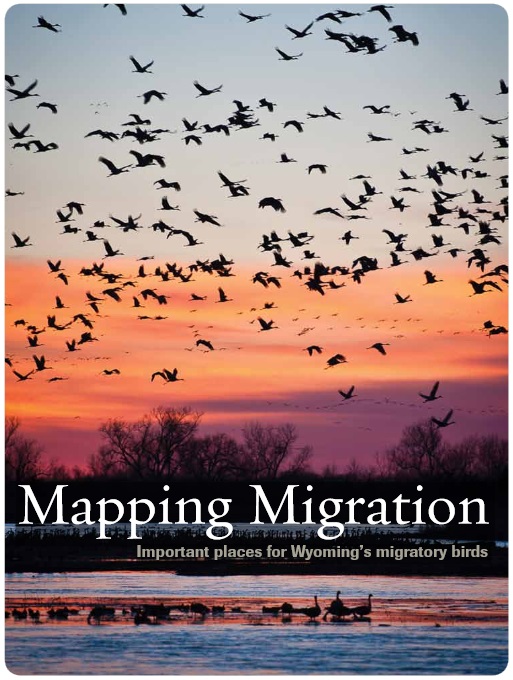 Mapping Migration: important places for Wyoming's migratory birds (The Nature Conservancy)