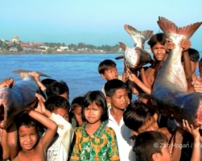 Fish migration and children
