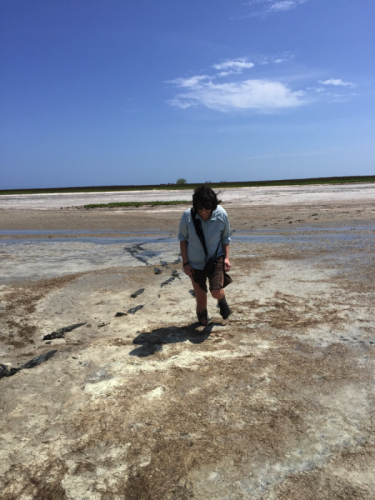 Trudging through and sinking into mud flats in search of our birds. Laguna Madre, Padre Island National Seashore