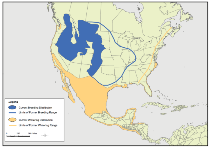 Current and historic range of the Long-billed Curlew, USFWS 2009 Status Assessment
