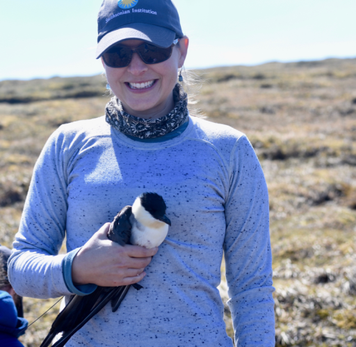 Dr. Autumn-Lynn Harrison with a Long-tailed Jaeger about to be released. Photo by Mary Lewandowski.