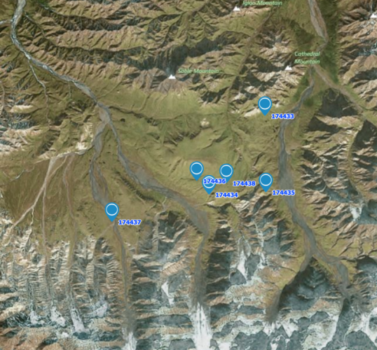 Most recent positions of six Long-tailed Jaegers in Denali National Park