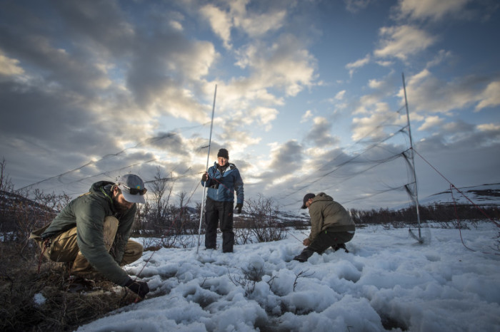 Setting up nets in the snow. Photo: Tim Romano